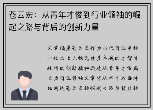 苍云宏：从青年才俊到行业领袖的崛起之路与背后的创新力量